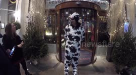 MMA fighter and Katie Price's ex, Alex Reid, shows up to event dressed as cow