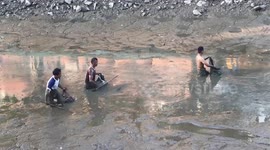 Locals scramble to catch thousands of fish left in dredged canal in Thailand