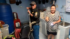 Thai housewife finds monitor lizard hiding under washing machine