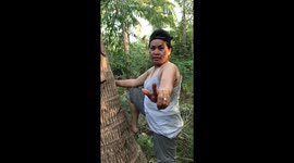 'This is for you': Filipina woman climbs massive coconut tree to prove to her Canadian friends that she can