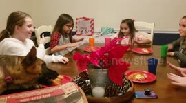 Dog interrupts children's annual Christmas party by stealing pizza right off their plates