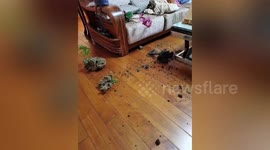 5.2-magnitude earthquake hits southern China injuring seven