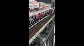 Eight train carriages completely covered in graffiti in tribute to NYC street artist