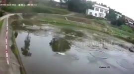 Fish jump out of pond when 5.2-magnitude earthquake hit Chinese city