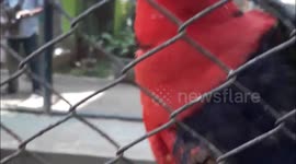 parrot aware of the camera