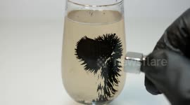 Scientist creates mesmerising experiment using metal powder, magnets and water