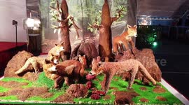 The Annual Christmas and New Year Cake Exhibition Begins in Southern India.