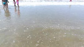 Sunny Morning Beach Of Ras El Bar Tourist Adventure