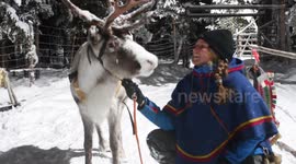 Reindeer Lodge,  Lapland, Jukkasjärvi, Sweden