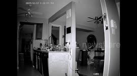 Orbs captured on video