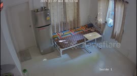 Cat Jumps Through Window And Breaks Table