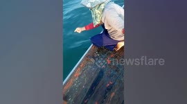 Anglers Catches Huge Snakehead Fish In Thailand