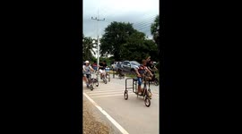 Adorable Convoy Of Dogs Exercising On Machines