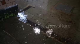 Oddly Satisfying Light pattern On Water