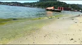 Fishermen relieved as changes in sea water from blue to green in Padang City considered normal and harmless
