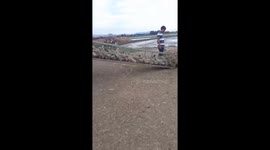 Hundreds of ducks move on the truck under the guidance of the men