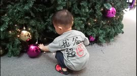 Toddler is so excited to play the ball on Xmas tree