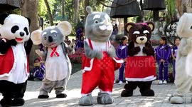 Zoo in Thailand marks Christmas with dancing cuddly animals