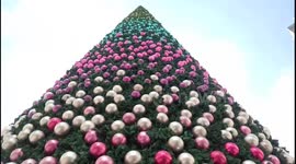 Yule love Malaysia in December, not least this 32m-high Christmas tree!