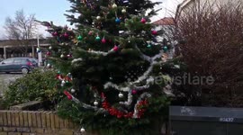 Car Park Christmas Tree