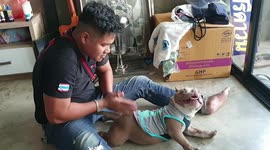 This dog loves massages from his owner
