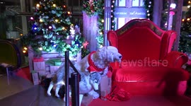 Santa Claus entertains Christmas shoppers in Bangkok