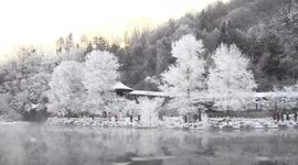 Stunning footage shows ice formations adorning trees in northern China