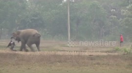 Miraculous escape for man in elephant attack in south-east India