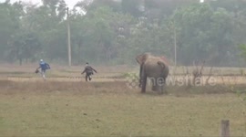 'Drunk' Indian man 'taking selfie' miraculously escapes elephant attack