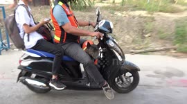 Dog rides with motorcycle taxi in matching uniform