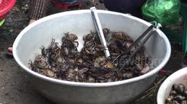 Women sell live crabs on Cambodian street