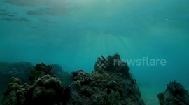 Breaking the surface