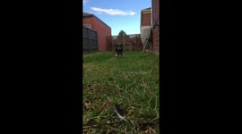 Shadow Does Get Out Challenge