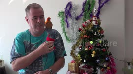 A greedy parrot refuses to share his Christmas biscuit.