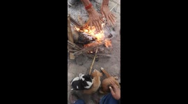 Dog puppies survive in cold wave from fire heat.