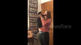 Cat puts up his paws so he doesn't have to take owner's kisses
