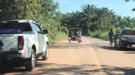 Monkey Rides With Friends On Motorcycle Trailer