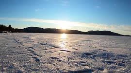 Eerie  bottom of a frozen lake