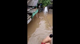 Residents of Jakarta jump into floodwater for a swim as Indonesian capital hit by torrential rains