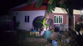 Playful elephant raids family's garden and throws blanket over its head