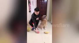 Smart dog uses nose to identify objects while blind-folded