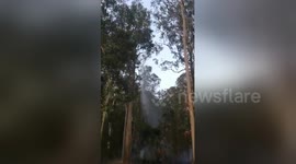 Helicopter drops water on bushfire from only 20-metres above in New South Wales