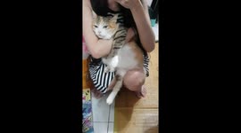 The fat cat sits happily on my lap and purrrrrrrrrrrrrr