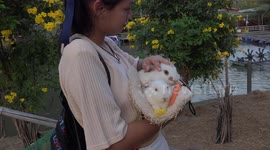 A rabbit falls out of an overloaded hat.
