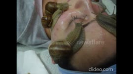 New Snail Beauty Treatment: Snail Facial Latest Skin Care Craze In Serbia