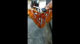 Husband and wife save giant butterfly that can't fly in heartwarming act