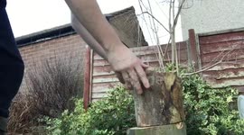 Wood you believe it? UK man manages to knock over camera while chopping logs