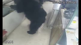 Bear-faced cheek! Hungry wild bear raids restaurant in India