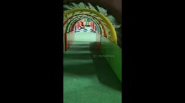 Energetics pup runs obstacle course