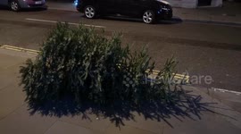 Abandoned Xmas Tree In Mayfair